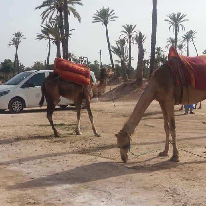 Touristes dans un véhicule TaxiVert en route vers les montagnes de l’Atlas